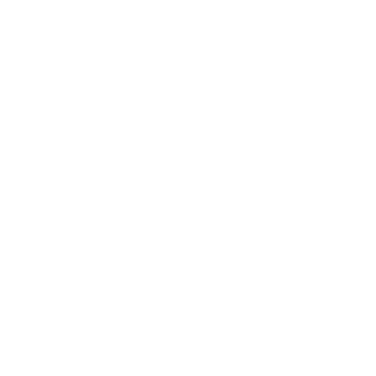 ADHD GO compass logo
